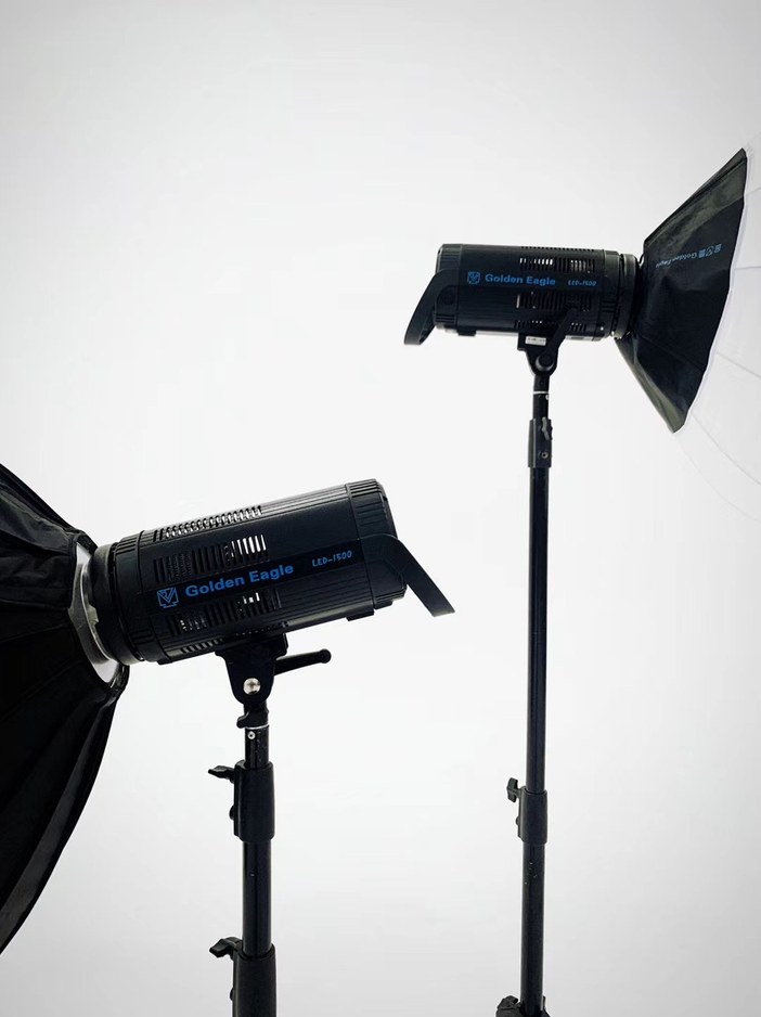 Studio Flash | Golden Eagle